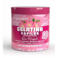 Gelatina Capilar Condicionante Rosa Mosqueta Bio 500g Gelatina Capilar Condicionante Rosa Mosqueta Bio 500g