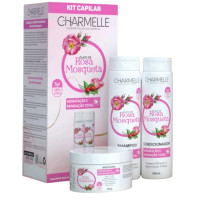 Kit Capilar Óleo de Rosa Mosqueta Charmelle 3 produtos– Hidratação e Reparação Total para Cabelos Secos e Danificados Kit Capilar Óleo de Rosa Mosqueta Charmelle 3 produtos– Hidratação e Reparação Total para Cabelos Secos e Danificados